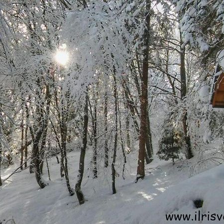 Casa Nella Natura Il Risveglio Degli Elfi Педавена Экстерьер фото